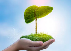 97���ʡ�(�й���)���޹�˾����