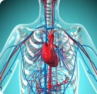 97���ʡ�(�й���)���޹�˾����