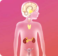 97���ʡ�(�й���)���޹�˾����