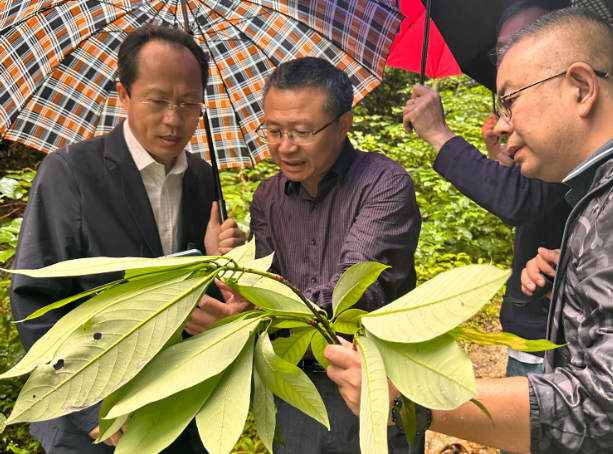 97���ʡ�(�й���)���޹�˾����