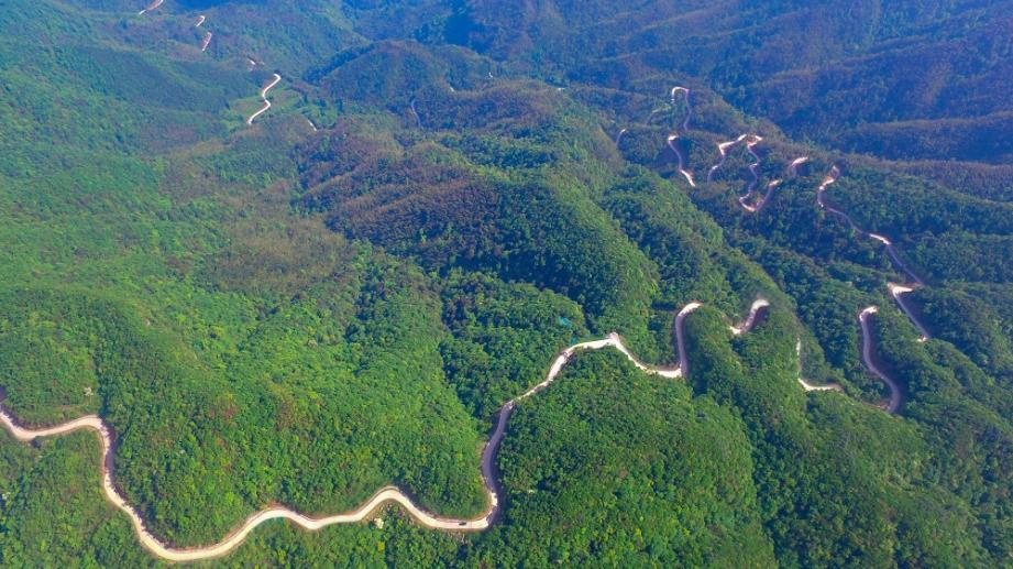 97���ʡ�(�й���)���޹�˾����