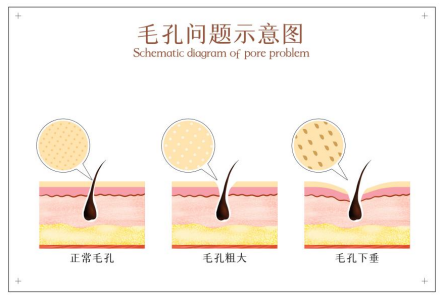 1661518936298898.png 1661518936298898.png