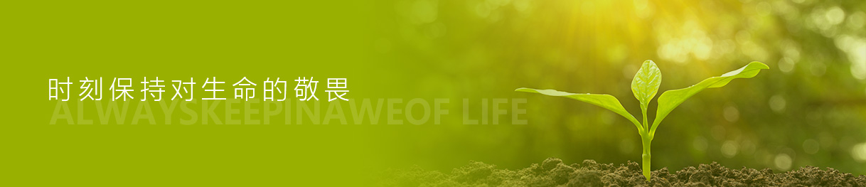 97���ʡ�(�й���)���޹�˾����