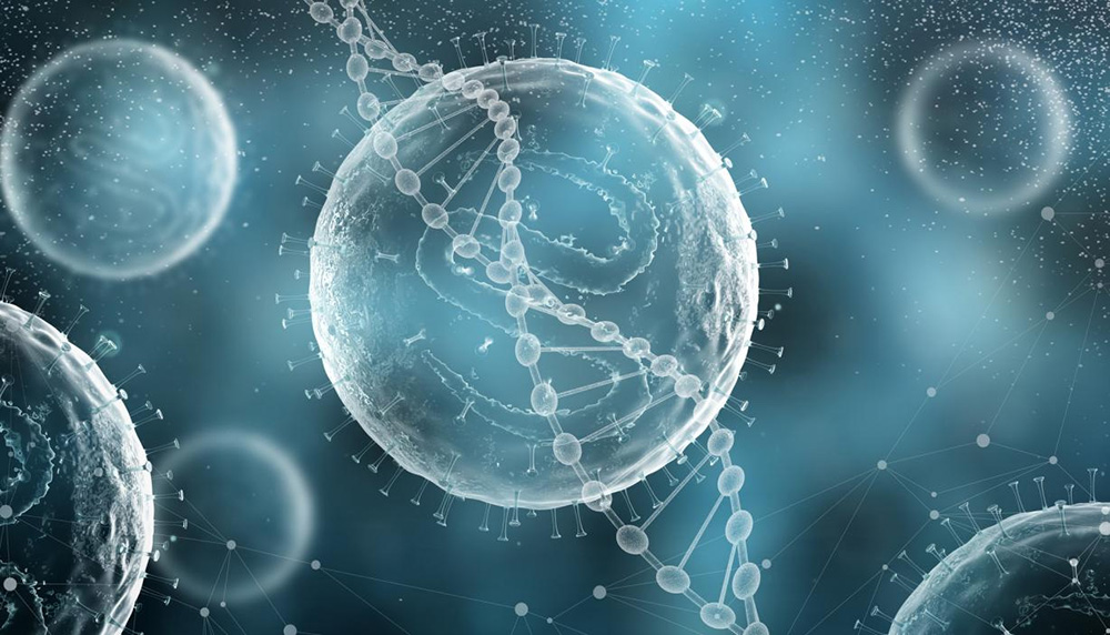 97���ʡ�(�й���)���޹�˾����